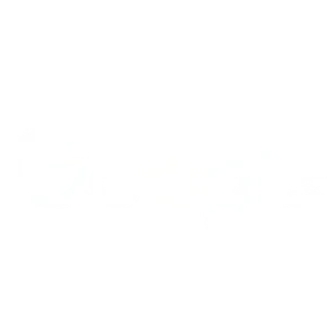 google-1